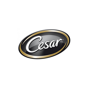 Cesar alimenti per cani