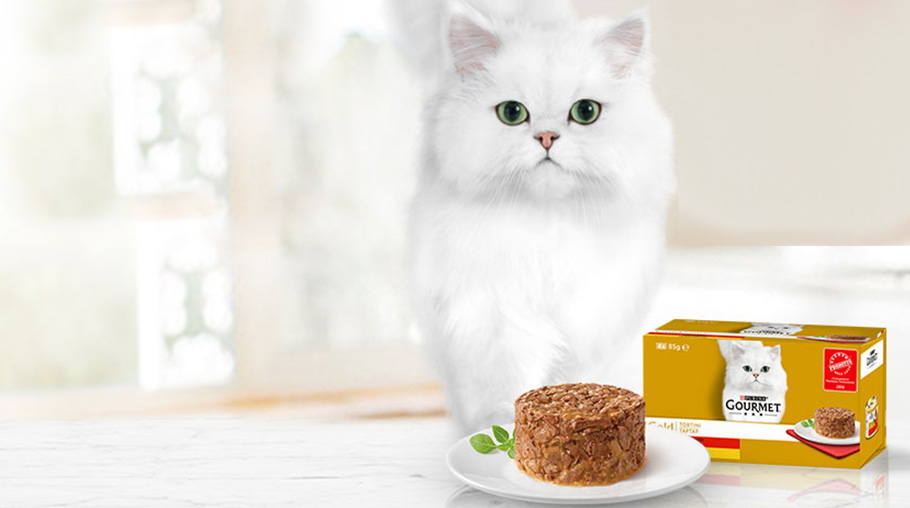 Gourmet per gatto