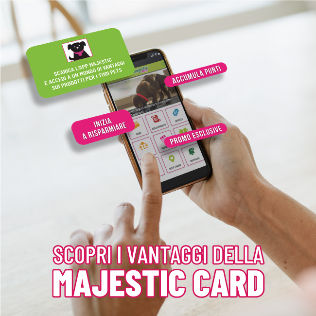 majestic card: immagine dimostrativa dell'uso dell'app