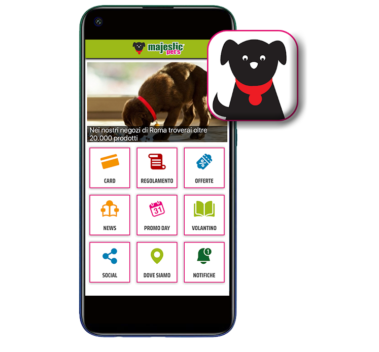 Scarica subito Majestic Card: scopri i vantaggi della nostra app