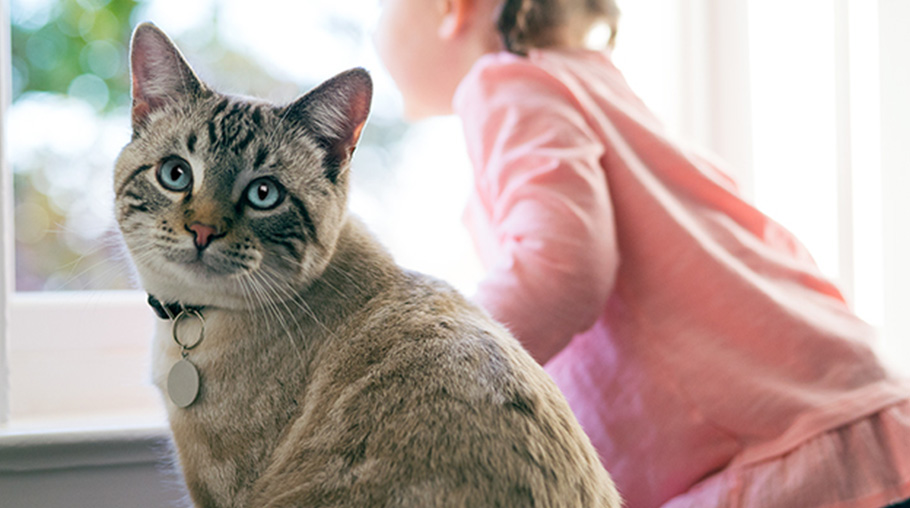 Hill's prodotti per cani e per gatti