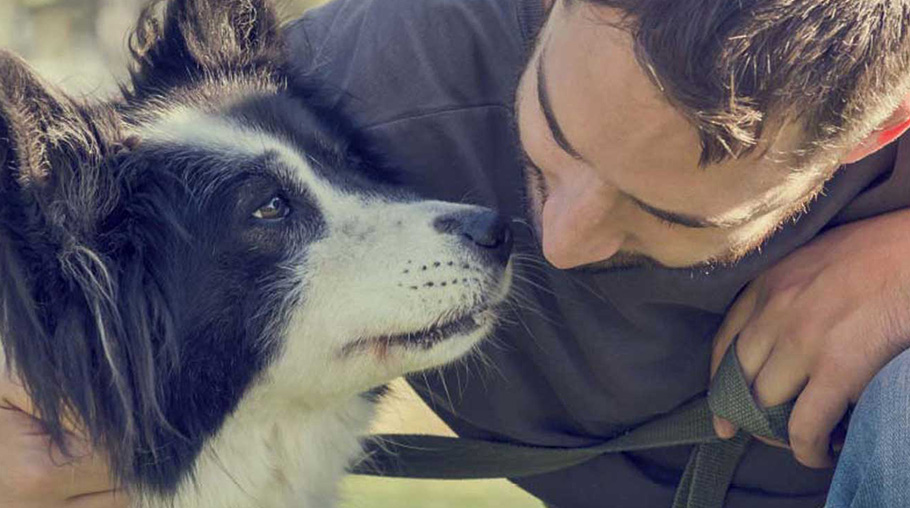 Monge, prodotti per cani e gatti