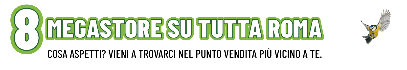 8 supermercati per animali in tutta Roma: vieni a trovarci nel punto vendita più vicino a te