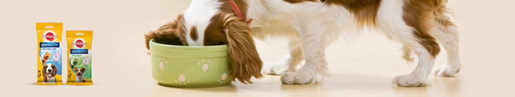 Dentastix: immagine d'esempio