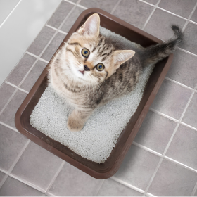 Lettiera gatto